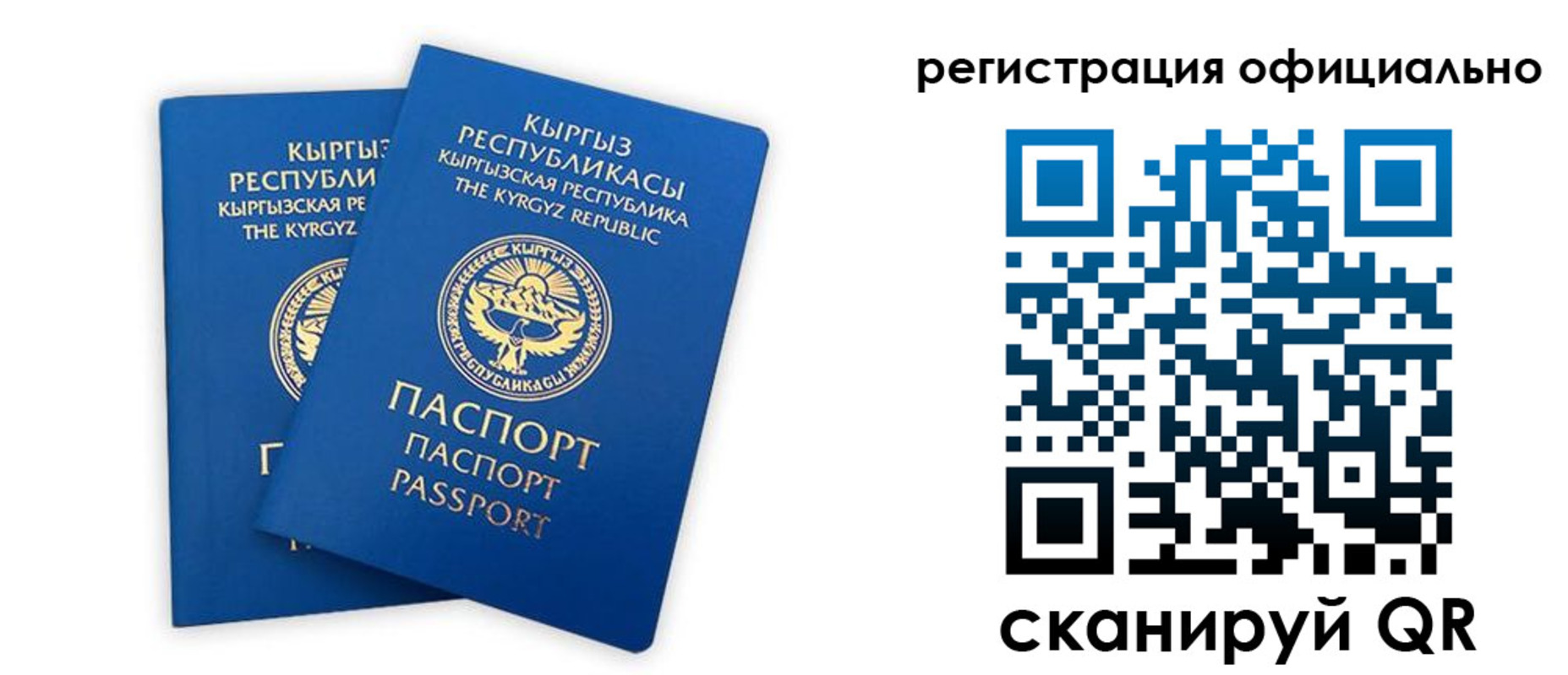прописка поиск в Протвино